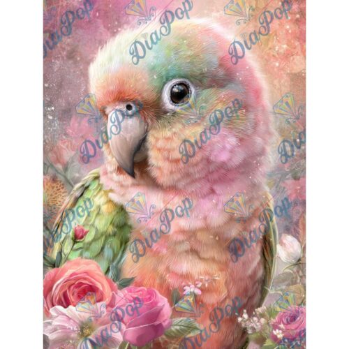 Elly_A.I - Rosa Federtraum